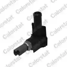 DAVAC TEMPERATURE SA RACVOM PUNTO 1.2 16V VERNET, 71736835, WS3048