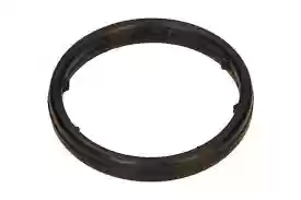 GUMA HLADNJAKA ULJA FIAT-OPEL AUTOMEGA, 55556547-5650974, 210160010,