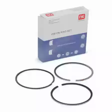 KARIKE 1.2 KALOS - AVEO 69.00 mm 1.spc NPR, 96325192, 7914025000,