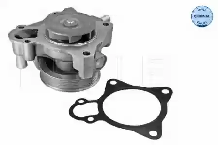 PUMPA VODE DUCATO JUMPER BOXER 3.0 MJTD 2006- MEYLE