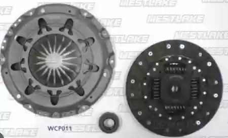 SET KVACILA 228 DUCATO 2.0JTD WES, 2051.G7, WCP011